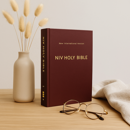 NIV Holy Bible – Compact Modern-English Translation, Easy-to-Read (South Africa)