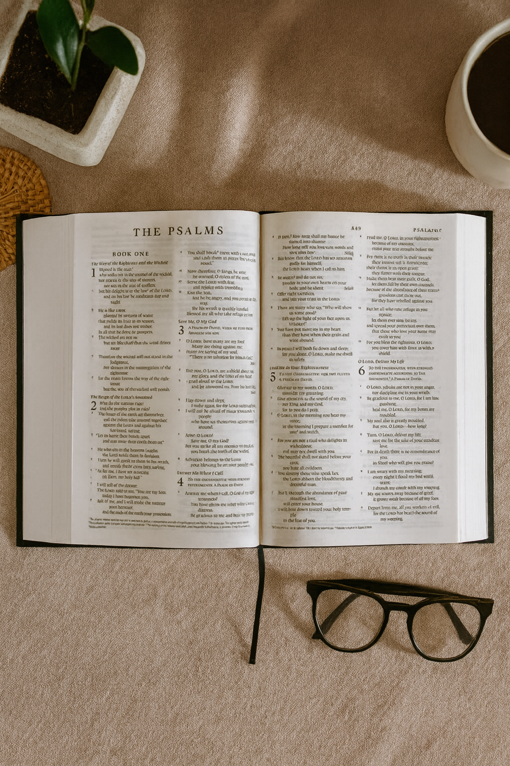 ESV Standard Bible – Black Hardcover with Easy-to-Read 8.25pt Font (South Africa)