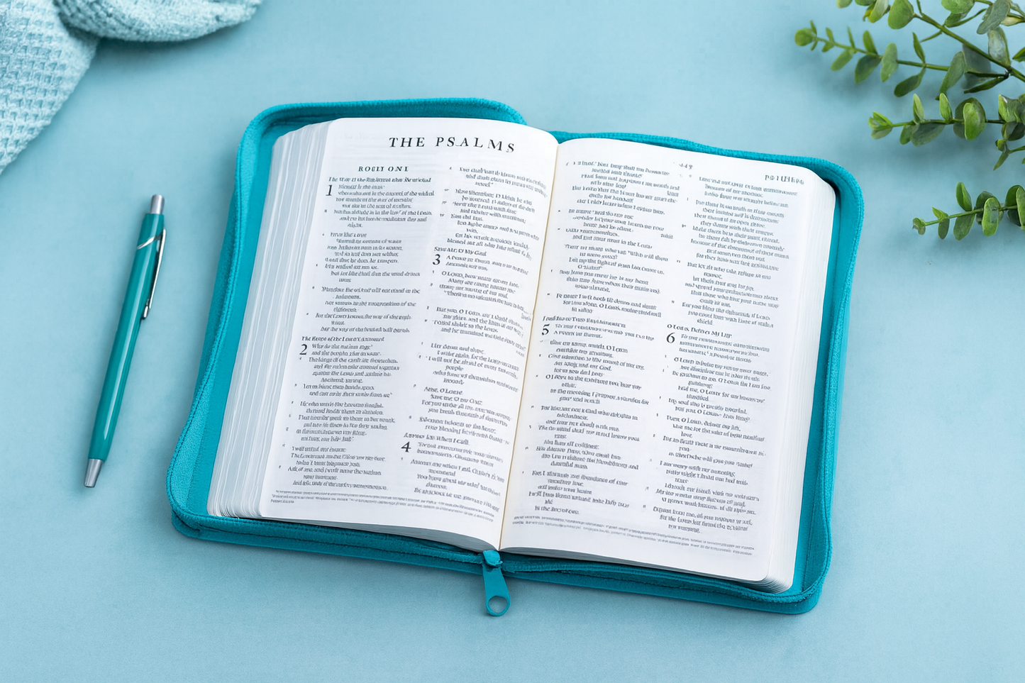 ESV Compact Holy Bible – Portable Zipped Bible with Concordance & Cross-References (South Africa)